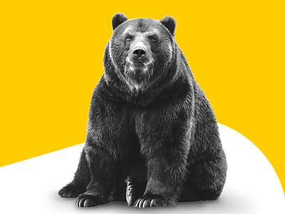 Tally bear with us email header app bear campaign currency design digital digital bank email fun funny gold joke money pounds savings tally waiting yellow