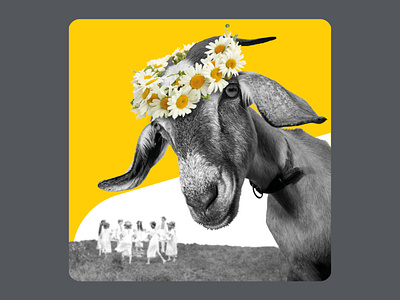 Tally midsummer social post advertising app bank creative digital digital bank fun funny goat gold midsummer money savings social media social post summer tally yellow