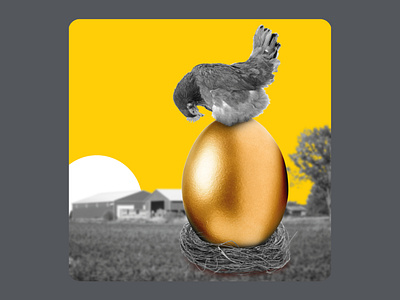 Tally golden egg social post advertising bank bank account campaign chicken creative digital digital bank fun funny gold money nest savings social media social post tally yellow