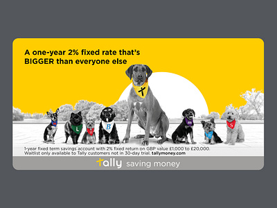 Tally fixed rate savings social ad advertising bank bigger creative currency digital digital bank dogs fun funny gold growing money savings social media social post tally yellow