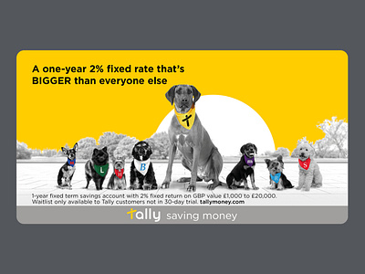 Tally fixed rate savings social ad