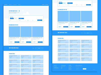 Airline Homepage Wireframes