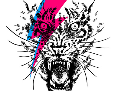 Tiggy Stardust animal bowie david bowie drawing illustration tiger ziggy stardust