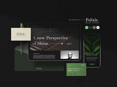 Felixis Solar Panel Branding Guide app brand branding business card color design editorial identity inspiration ios ipad logo moodboard page typography ui web webdesign