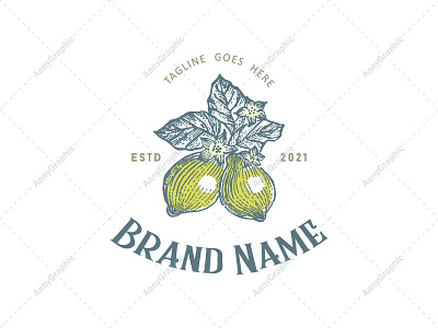 Lemon Sketch Logo branding fruit illustration lemon lemonlogo logo logodesign sketch vitamin