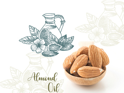 Almond Leaves,flower And Oil Logo