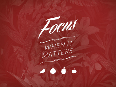 Focus brand focus fruit icon when it matters