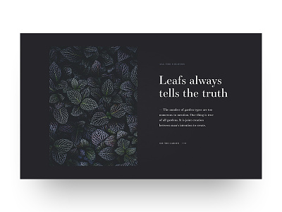 Leaf concept design minimalistic webdesign