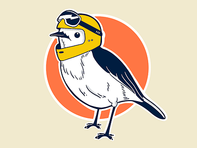 Racer Robin bird digital illustration illustration procreate robin