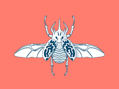 Rhino Beetle beetle digital illustration graphic illustration