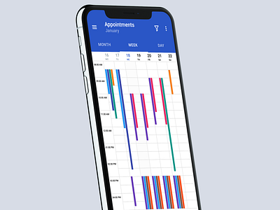 Appointment Calendar app appointment calendar chart grid interaction interface ios iphone material schedule tabs task ui ux