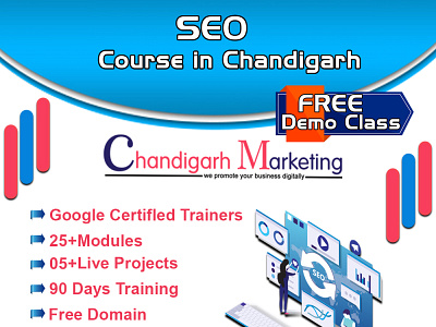 SEO course in Chandigarh