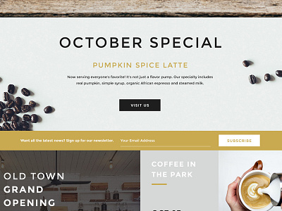 LaunchPad Lab Coffee Roasters coffee design interview user interface web design