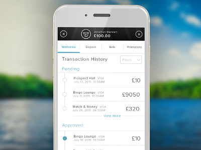 Wallet History payment transaction history ui visual design