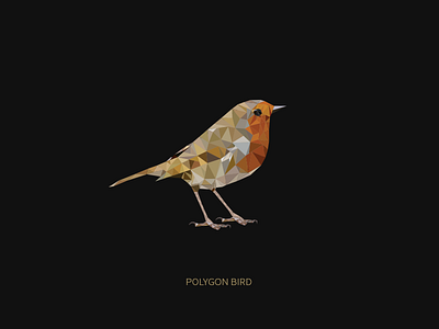 Polygon Bird bird illustrator low poly minimal photoshop polygon vector