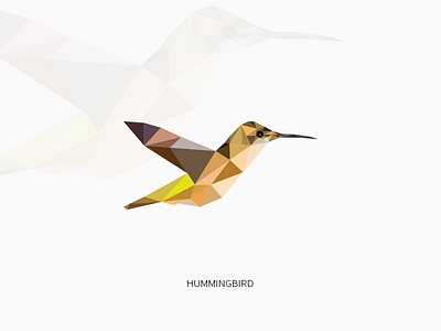 Hummingbird art bird clean cute design hummingbird illustrator minimal photoshop polygon smallest ui