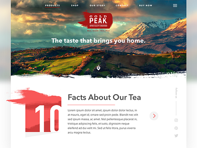Gold Peak Tea finance home interface purple ui user interface ux website