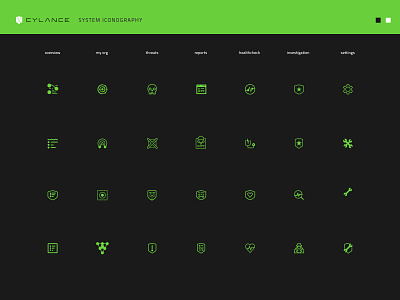 Cylance Protect system icon set branding cyber security icon set icons software ui