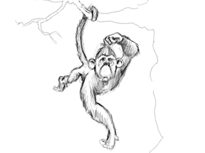 Monkey monkey sketch