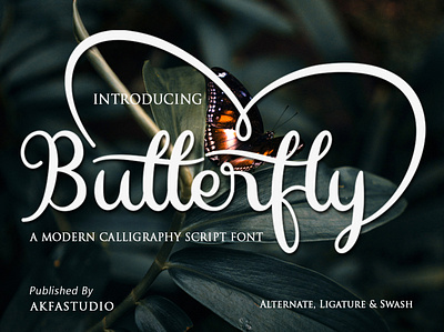 Butterfly | Script Font branding design font graphic design handritting script typography vector