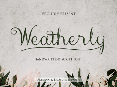 Weatherly branding design font graphic design handritting script typography