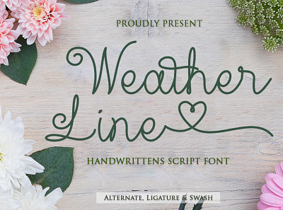 Weather Line Handwrittens Script Font branding design font graphic design handritting line art logo script typography