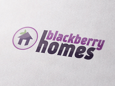 Blackberry Homes Logo brand graphic design logo design