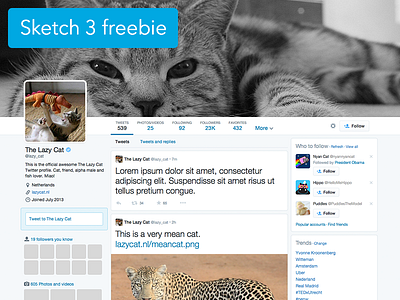 Twitter profile Sketch 3 template cats free freebie mockup profile sketch 3 template twitter