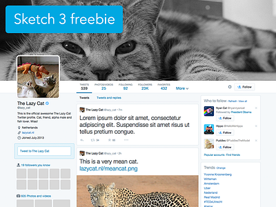 Twitter profile Sketch 3 template
