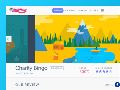 Bingo reviews website - Review detail