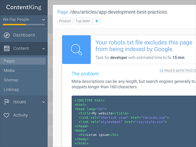 ContentKing detail page analytics code dashboard detail modal view seo ui ux web app