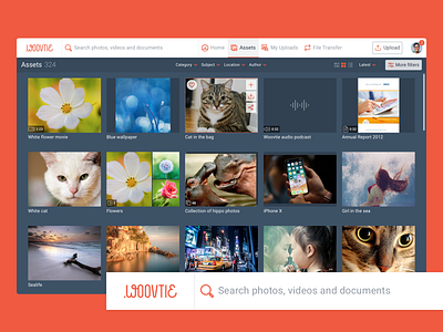 Woovtie digital asset management application asset management dam dashboard desktop gallery lightbox ui ux web app