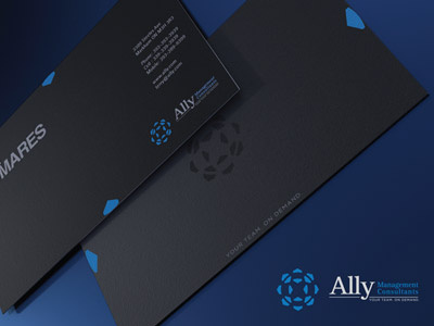 Ally consulting experience management