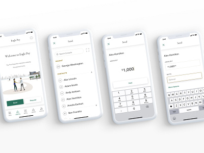 Eagle Pay finance app interaction design minimal payment app sketch visual design