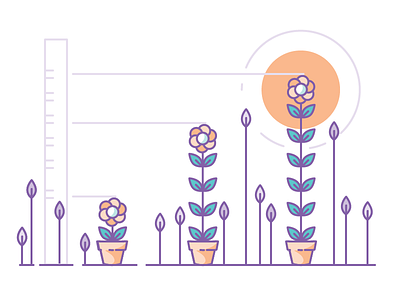 Conversion illustration content flowers garden illustration marketing measurement medium article outline plants ruler shopify vector