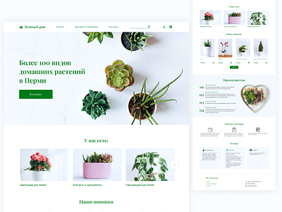 House Plants Online-Shop Concept design ui ux web design