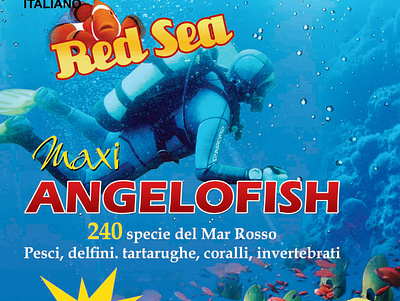Angelofish Book 3d branding graphic design illustration motion graphics vector