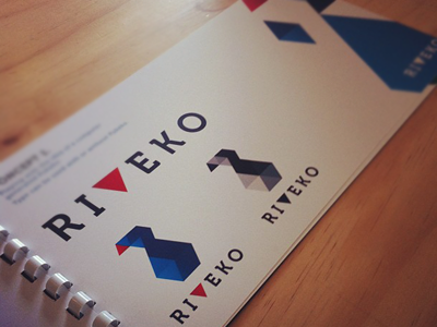 Riveko branding identity logo programmer software