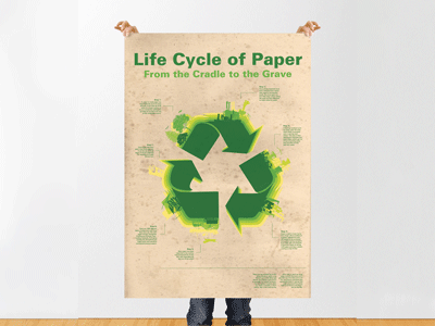 Life Cycle Of Paper assignment graphic design infographic poster recycle sustainability vector