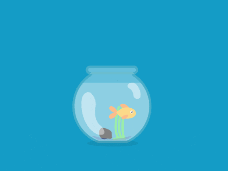 Goldfish in a Bowl 2d animation after affects animation bowl fish gif goldfish illustration illustrator loop loop animation motion design vector