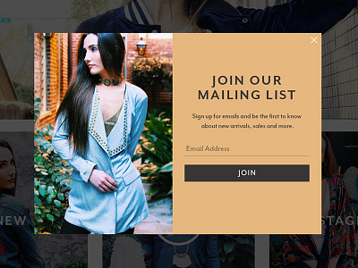 Branded Signup clothing ecommerce fashion newsletter popup ui website