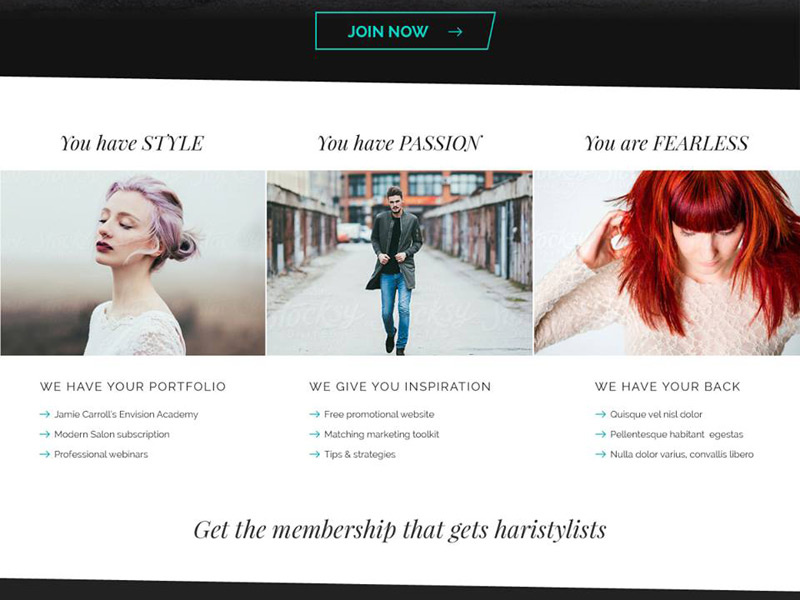 National Hairstylist Association Custom Website Homepage Design By