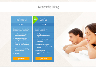 Membership pricing tables (for massage association website)