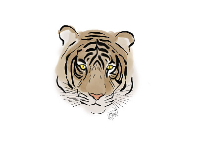 tiger animal design digitalart hand drawn illustration photoshop print tiger