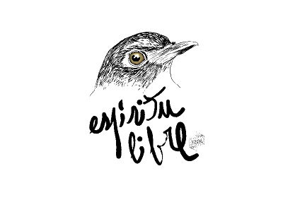 free spirit animal bird design digitalart free freedom hand drawn handlettering illustration photoshop print spirit typography wacom