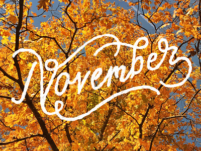 November fall handmadetype handtype lettering november type typography