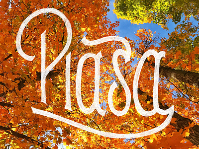 Piasa design illustration lettering photo type typography