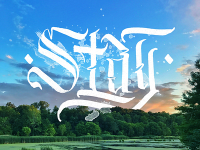 Stay in nature calligraphy design handtype lettering nature type typography