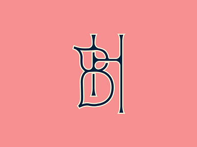 BH Monogram branding design lettering logo monogram typography