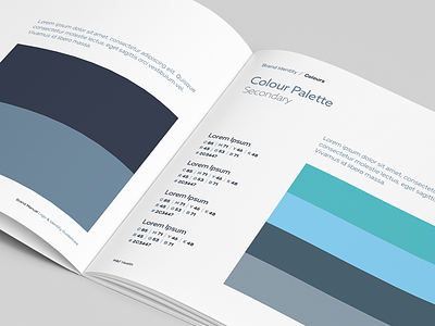 M&F Health Brand Guidelines WIP brand guidelines brand identity branding brochure colour palette typography